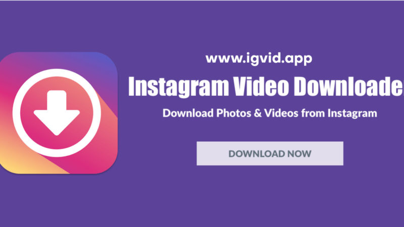 Download Instagram Video Without Watermark